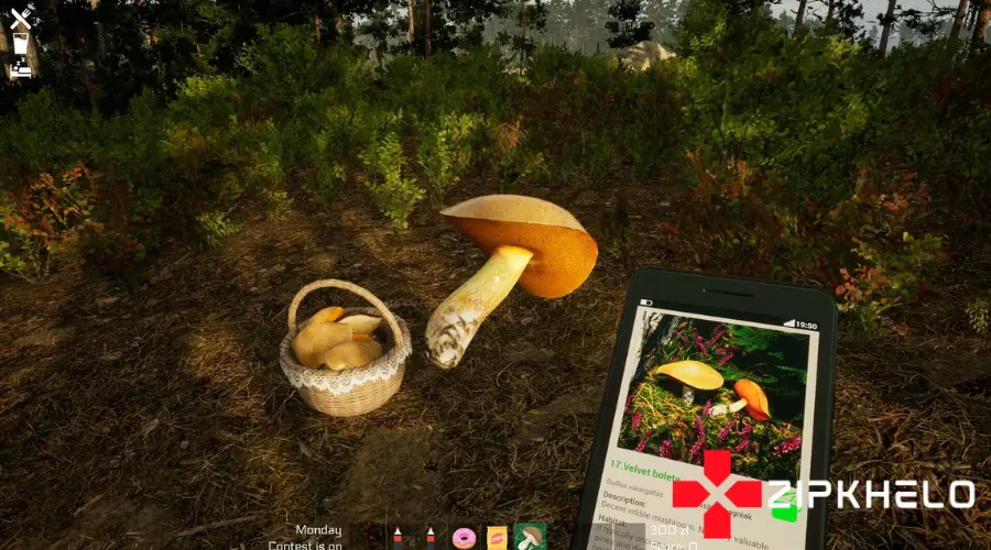 Mushroom Season features